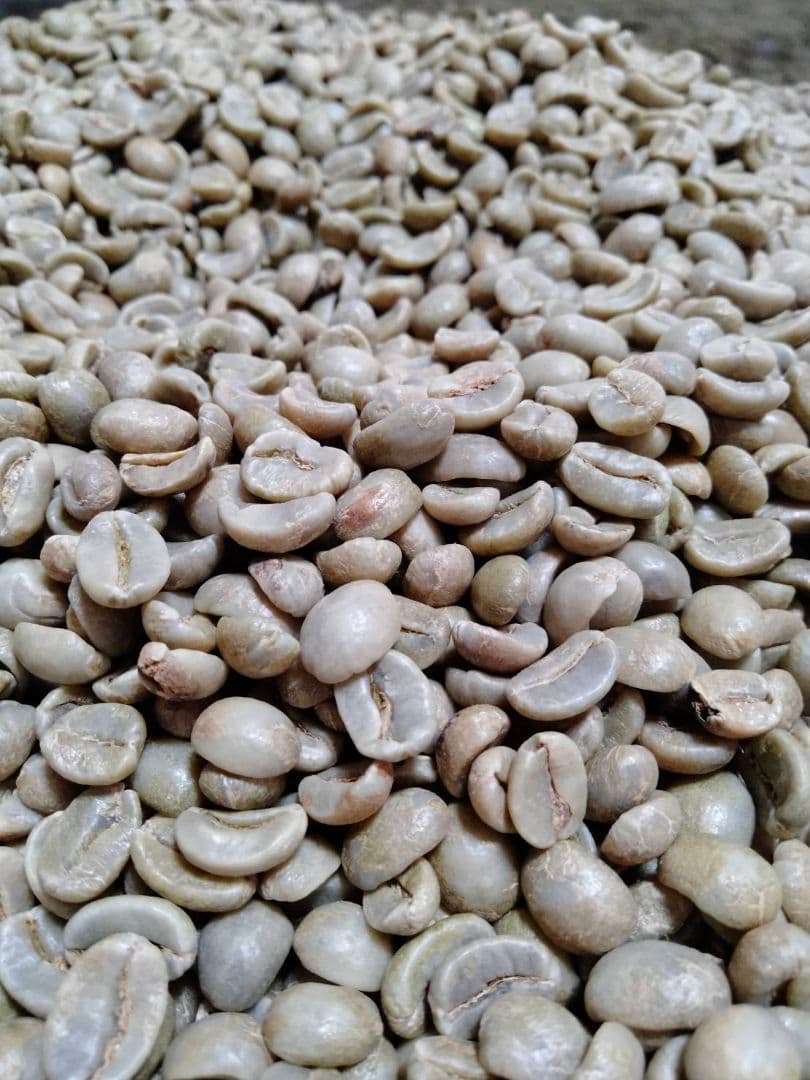 お京さん専用　焙煎済みセット