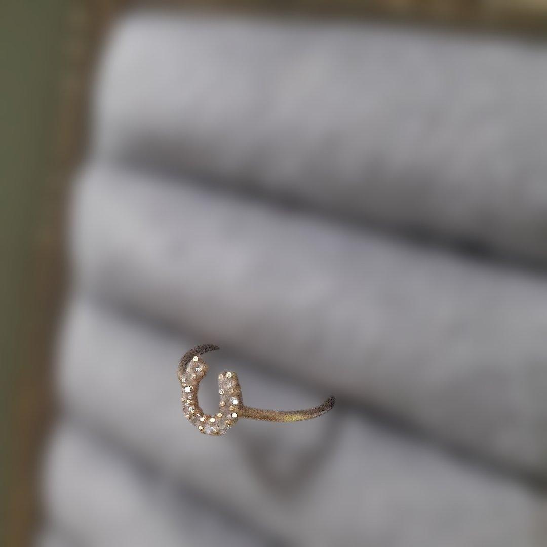 お値下げK18 ホースシュー型ダイヤモンドリングピンキー