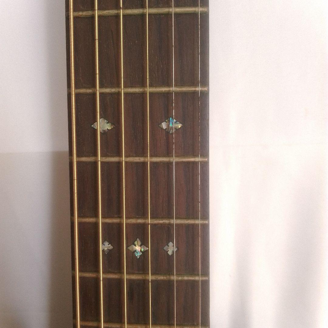 Recording King RO-27 アコースティックギター ケース付き