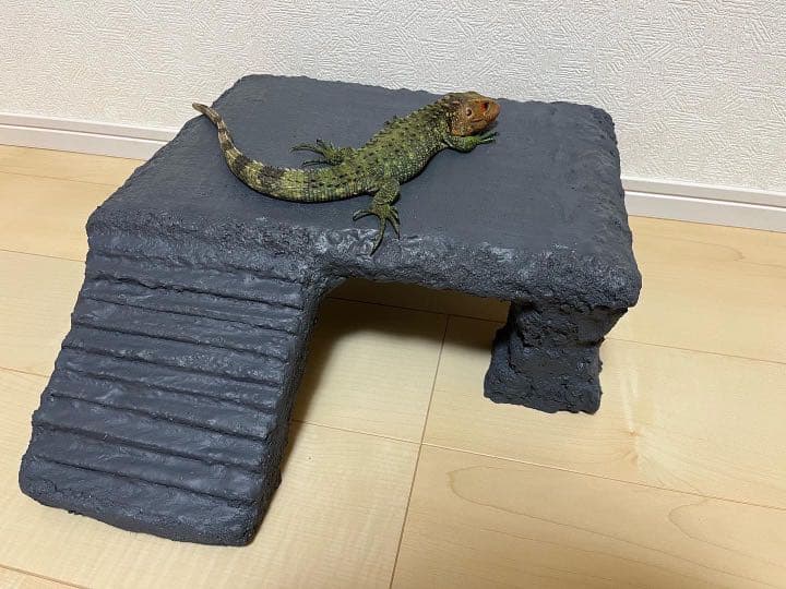 爬虫類シェルター バックボード レイアウト用品作成