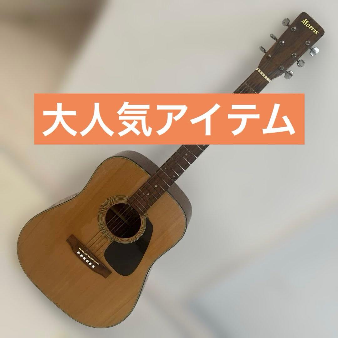 【大人気アイテム】モーリス Morris MD502 アコースティックギター
