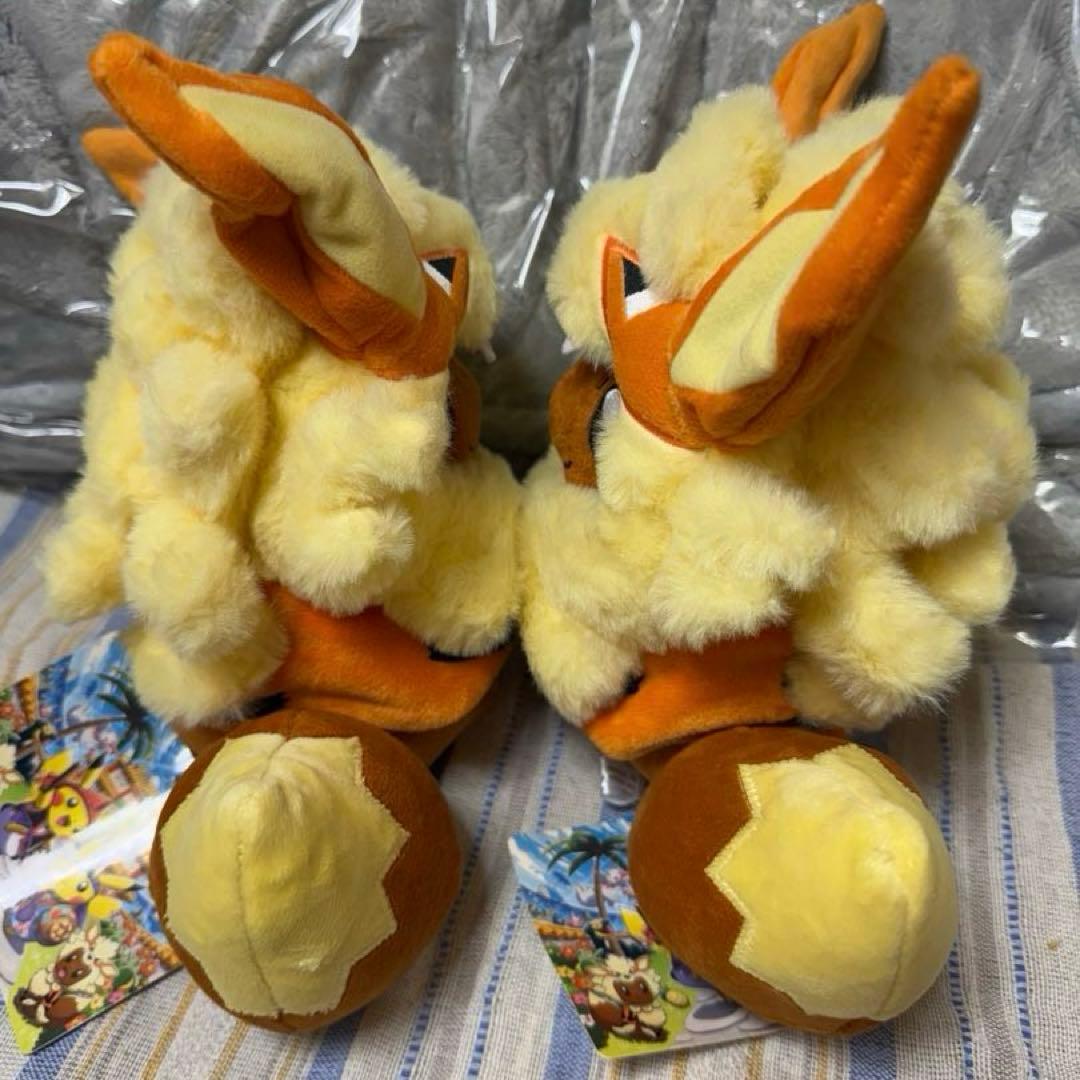 ウインディポンチョのイーブイ　ぬいぐるみ　セット