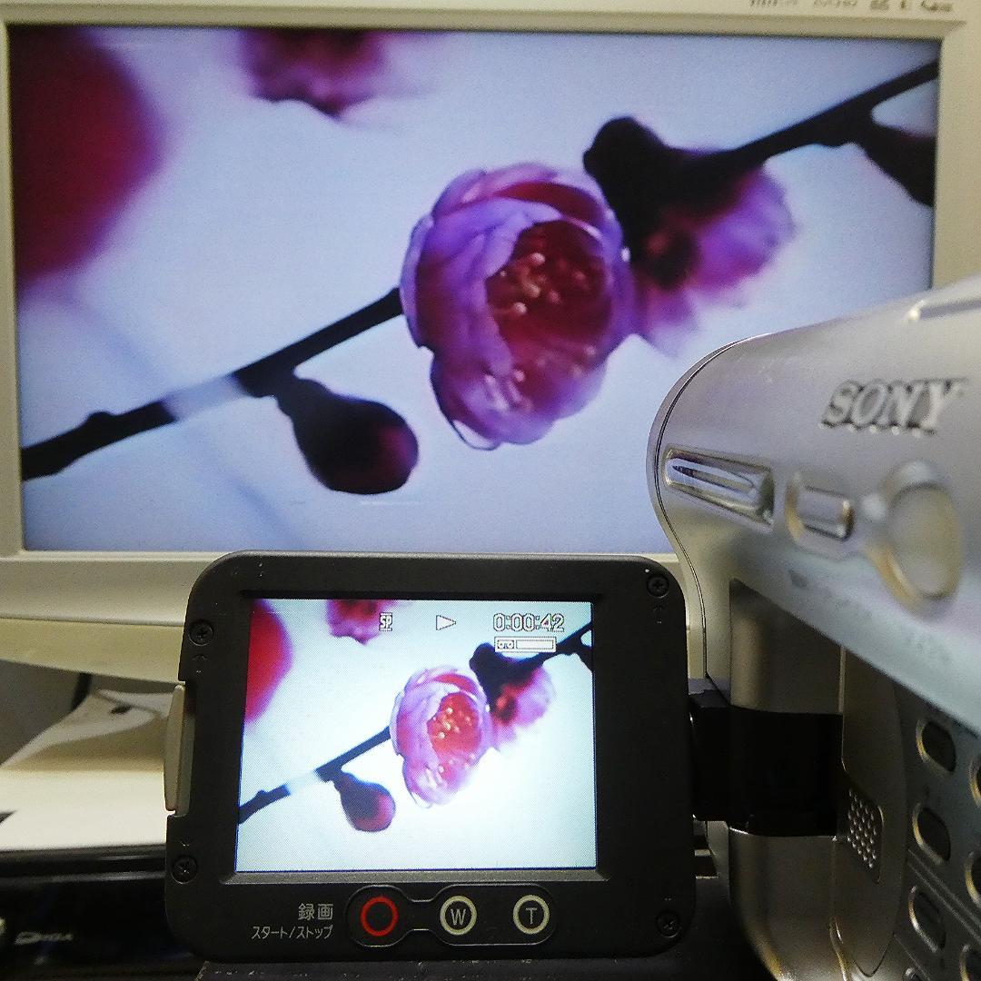 動作良好ソニー CCD-TRV126VideoHi8ビデオカメラ DVD化に最適
