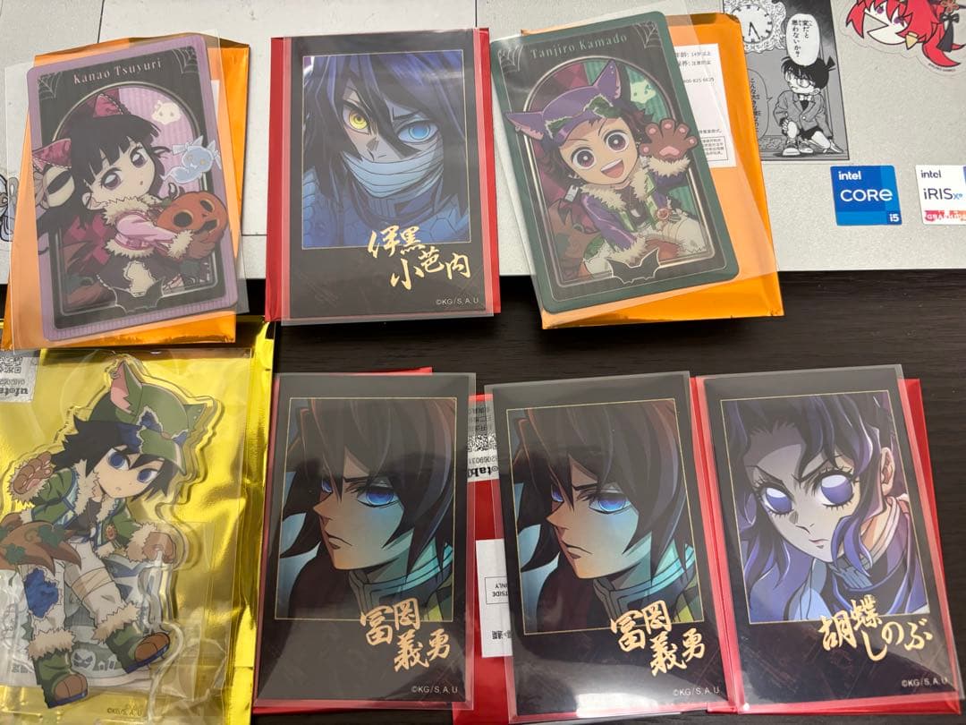 鬼滅の刃 無限城編 ティザービジュアル ランダムチェキ風ブロマイド 冨岡義勇