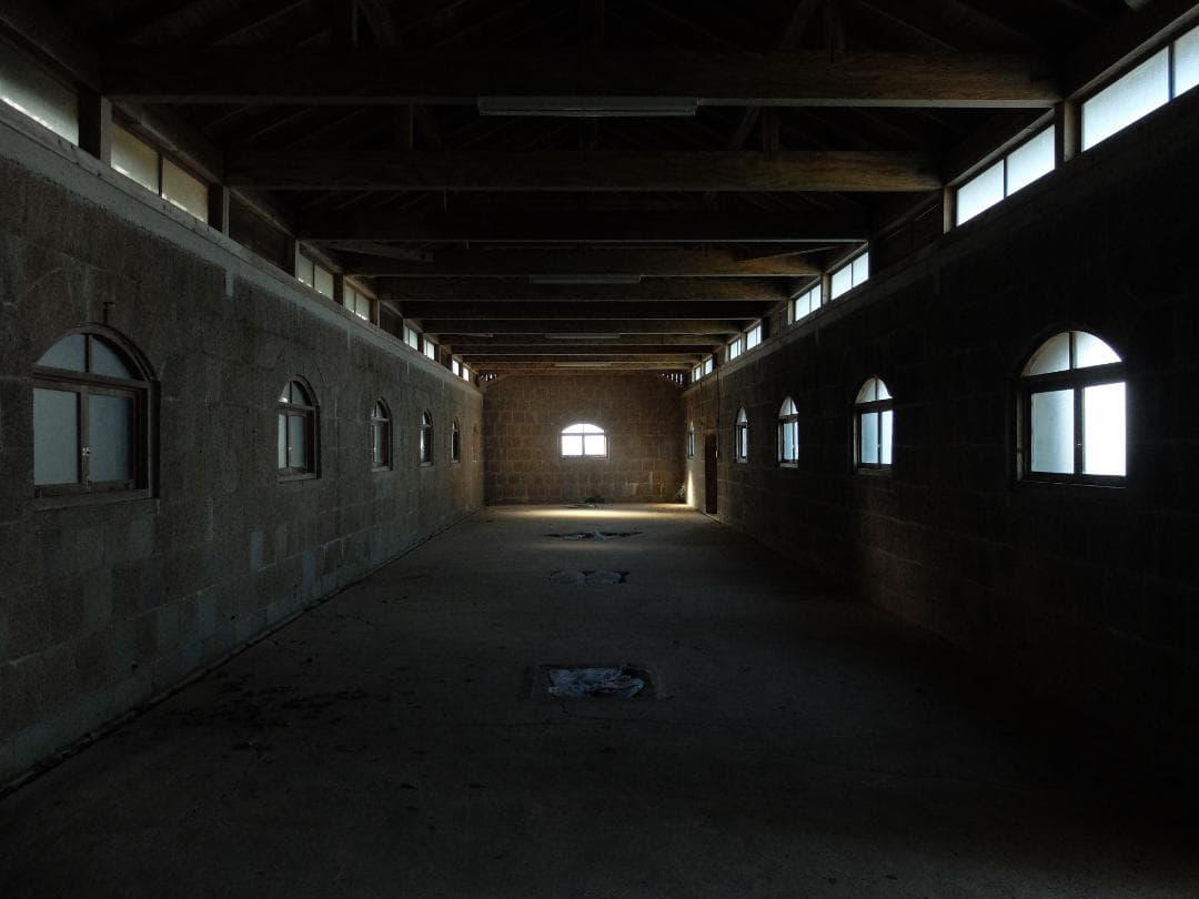 Fujifilm X20 コンパクトデジタルカメラ　ネイビーリザード張替済