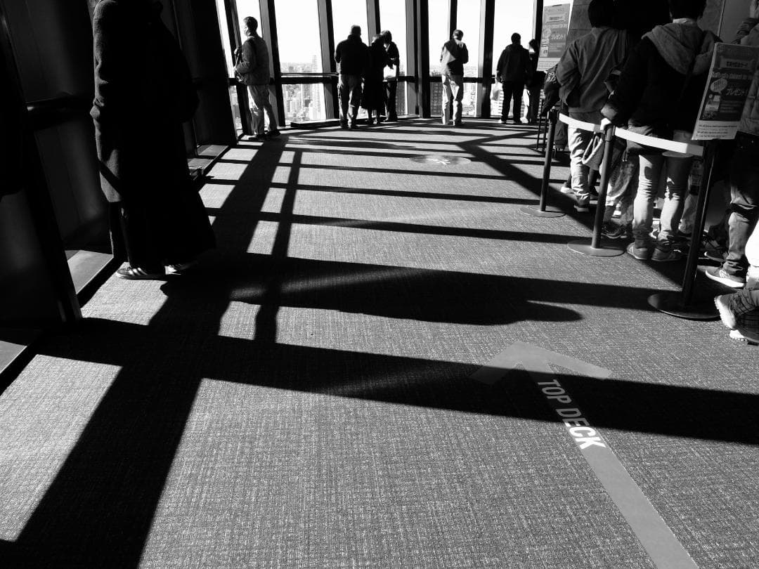 Fujifilm X20 コンパクトデジタルカメラ　ネイビーリザード張替済