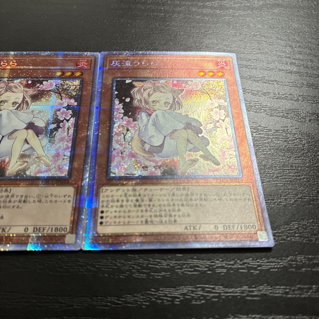 遊戯王　灰流うらら　絵違い　プリズマティックシークレットレア2枚