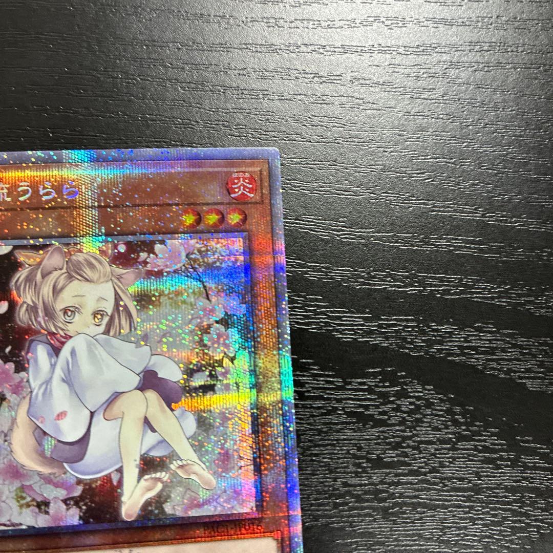 遊戯王　灰流うらら　絵違い　プリズマティックシークレットレア2枚