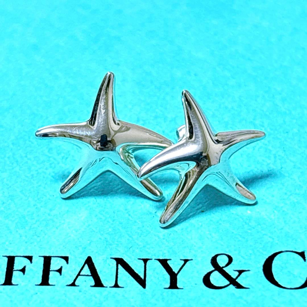 【美品】Tiffany ティファニー フィッシュスター ピアス シルバー925