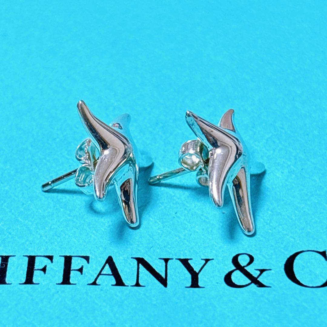 【美品】Tiffany ティファニー フィッシュスター ピアス シルバー925