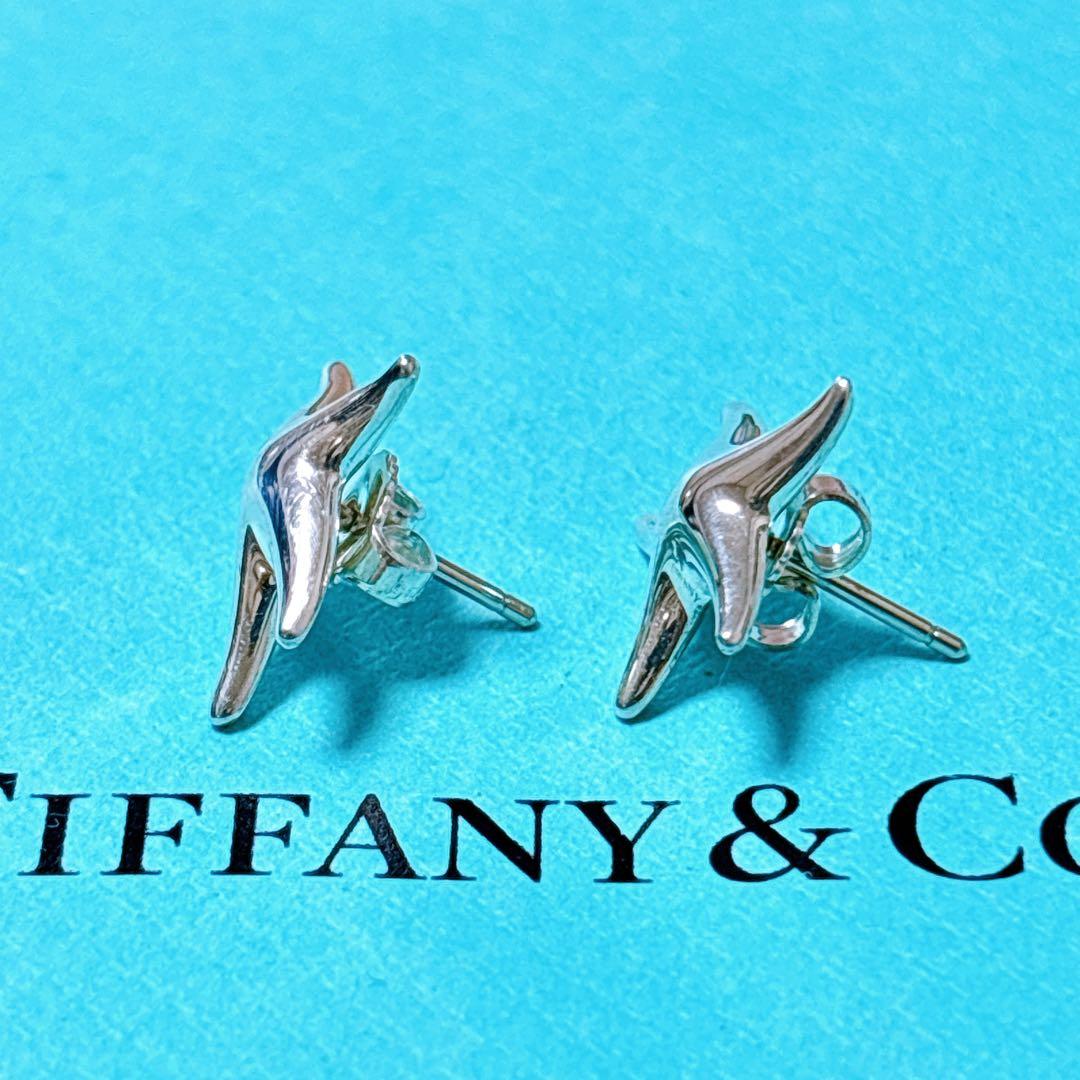 【美品】Tiffany ティファニー フィッシュスター ピアス シルバー925