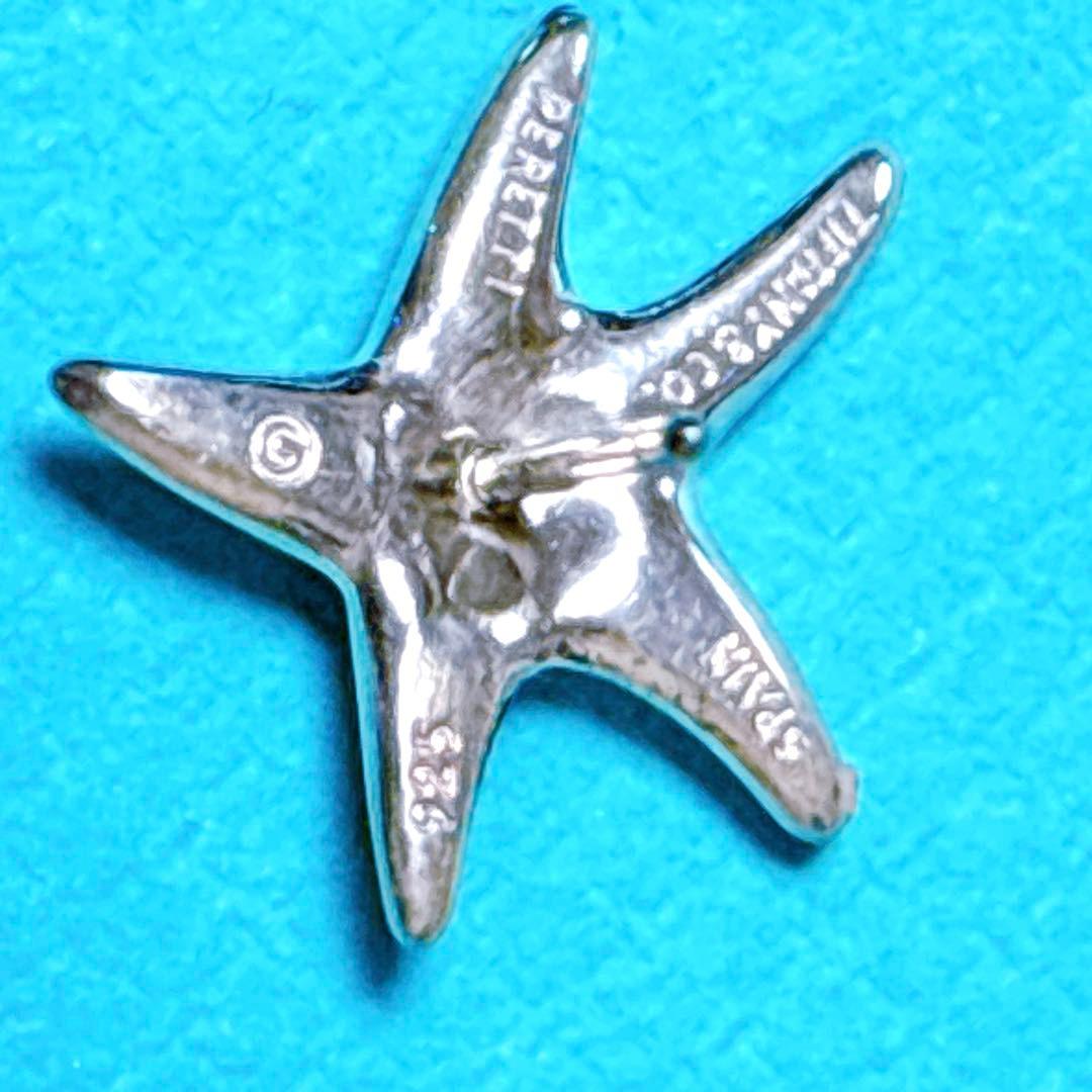【美品】Tiffany ティファニー フィッシュスター ピアス シルバー925