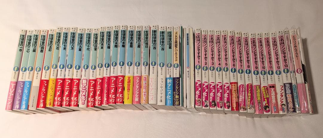 小説 ファンタジア文庫 生徒会の一存 これはゾンビですか？ ライトノベル