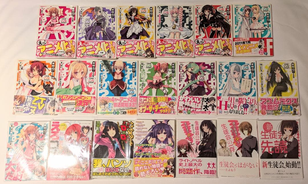 小説 ファンタジア文庫 生徒会の一存 これはゾンビですか？ ライトノベル