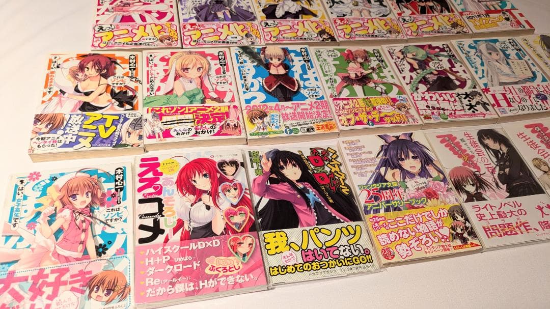 小説 ファンタジア文庫 生徒会の一存 これはゾンビですか？ ライトノベル