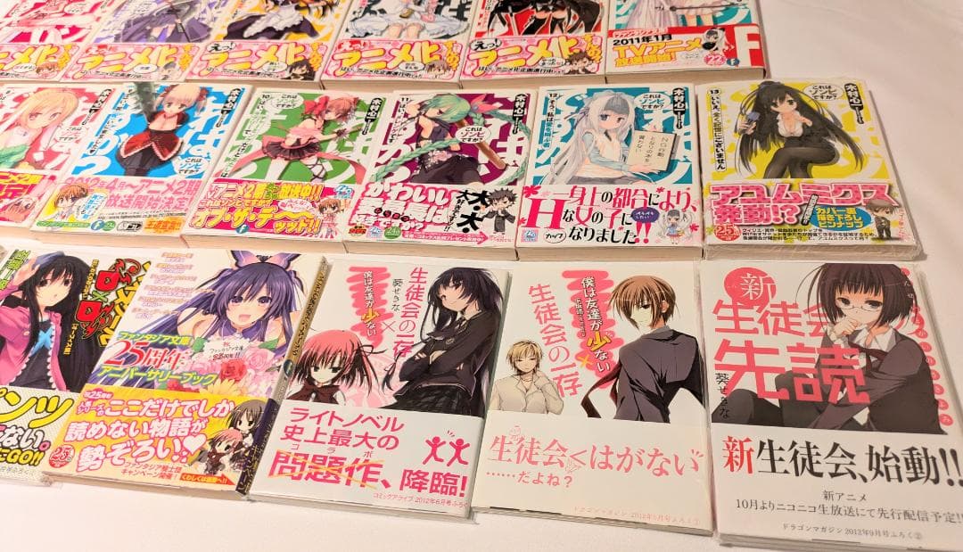 小説 ファンタジア文庫 生徒会の一存 これはゾンビですか？ ライトノベル