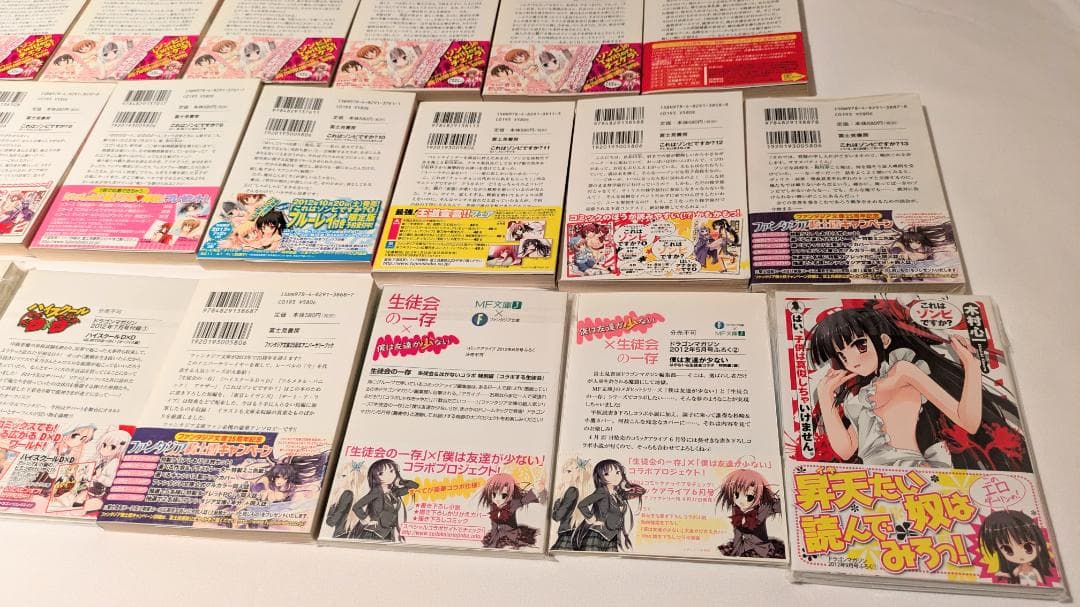 小説 ファンタジア文庫 生徒会の一存 これはゾンビですか？ ライトノベル