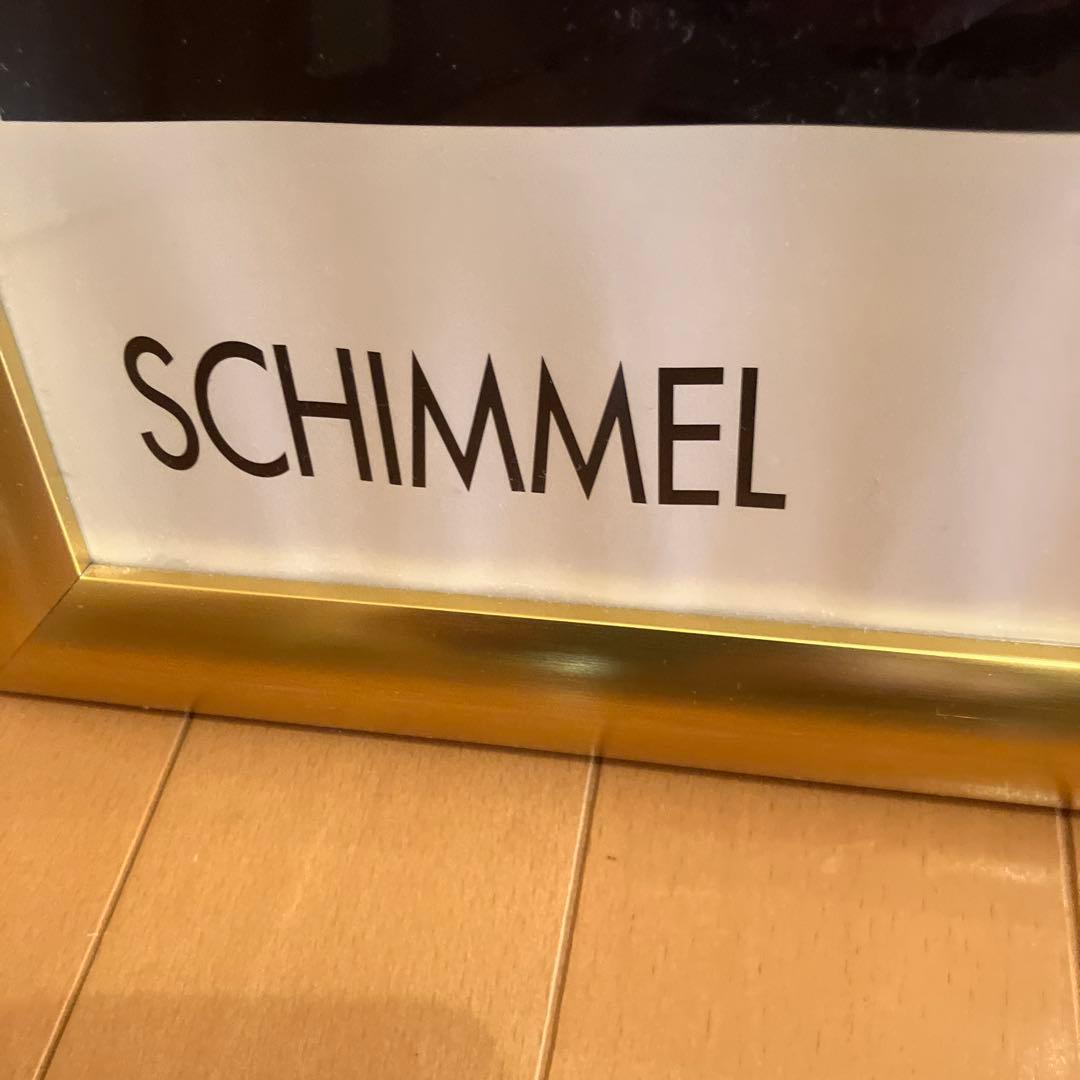 イルカポスター　額入り