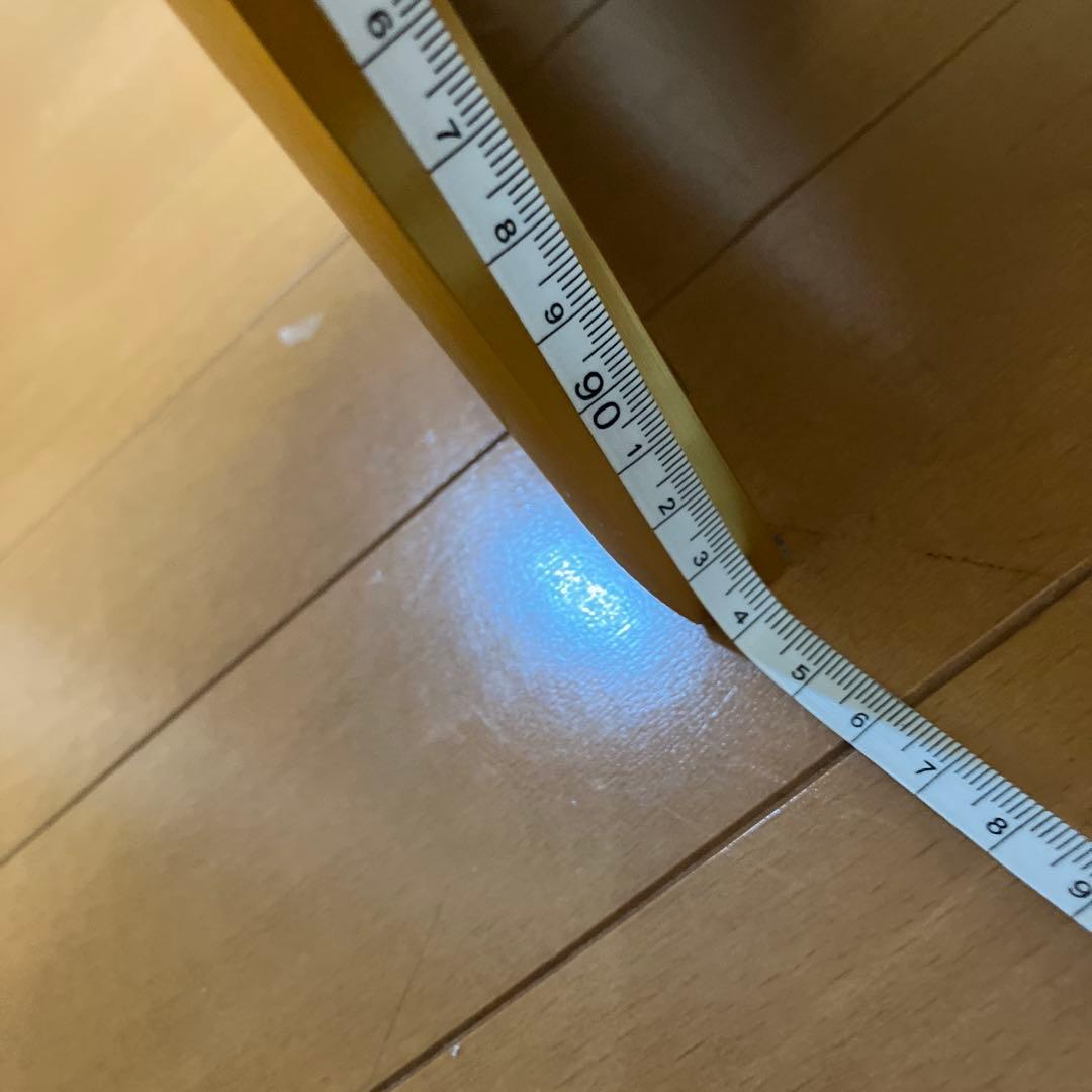 イルカポスター　額入り