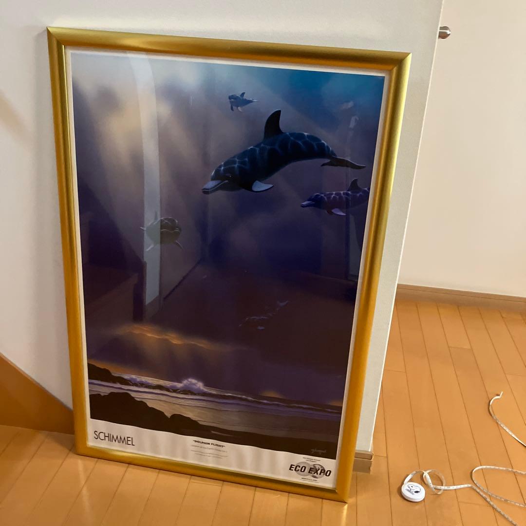 イルカポスター　額入り