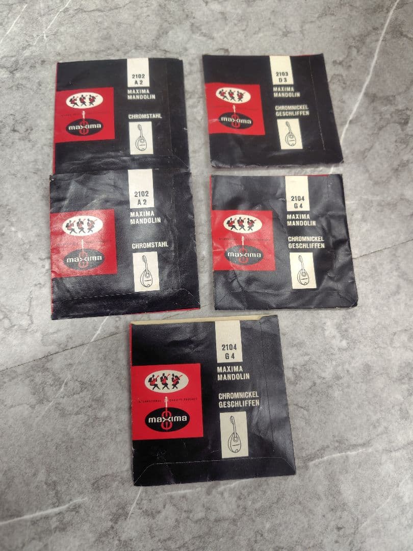 スズキ マンドリン No.70 KISO HUKUSHIMA ハードケース付き