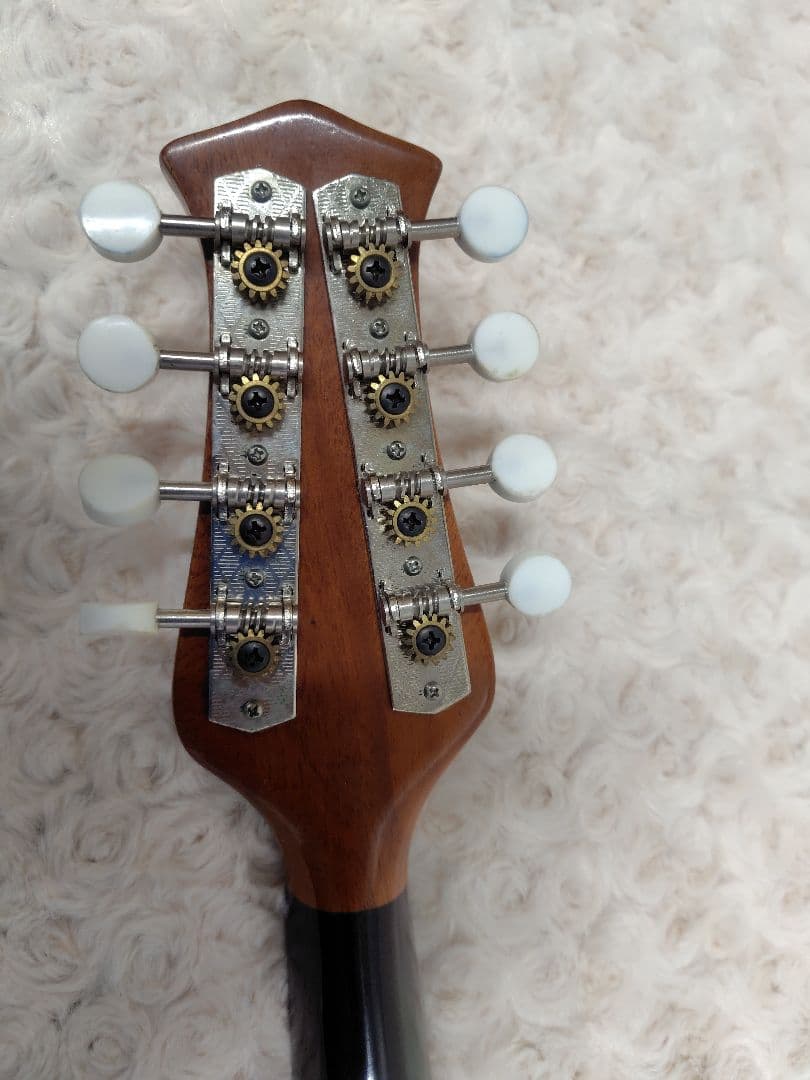 スズキ マンドリン No.70 KISO HUKUSHIMA ハードケース付き