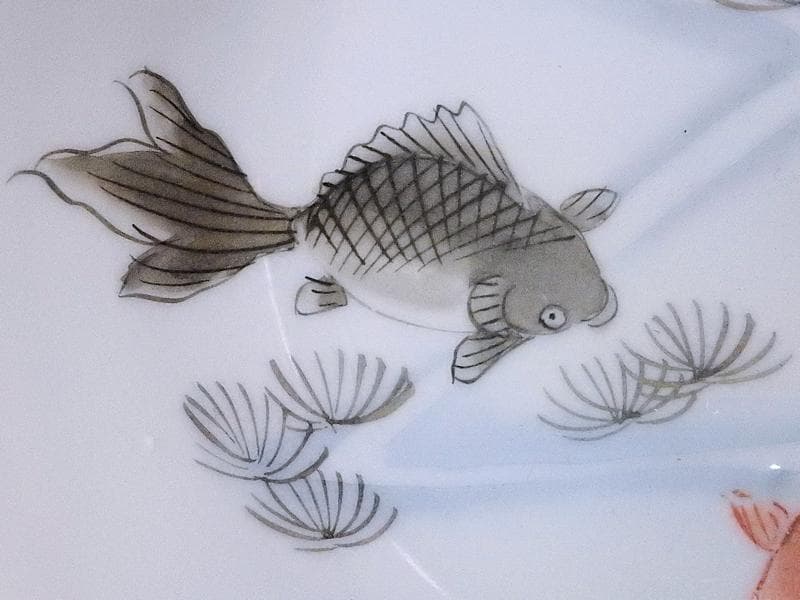 古伊万里　色絵　金魚に藻の図　盃洗　TX0DACG-AS-fbrx
