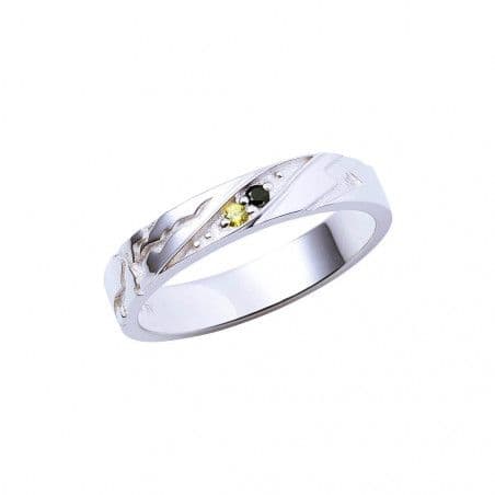 パラライ 武雷管 九頭竜智生 辰宮晴臣 シルバーリング FanFunMARKET