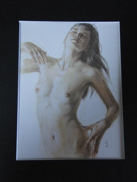 高塚省吾、希少な額装用画集画、新品高級額 額装付、状態良好