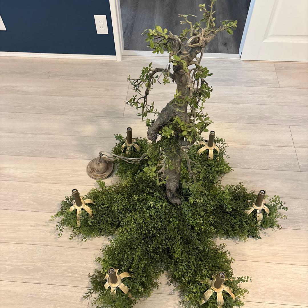 森のシャンデリア