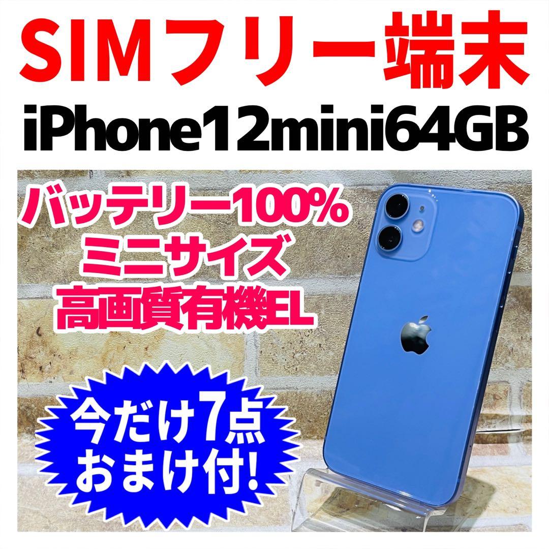 SIMフリー iPhone12mini 64GB パープル 電池良好
