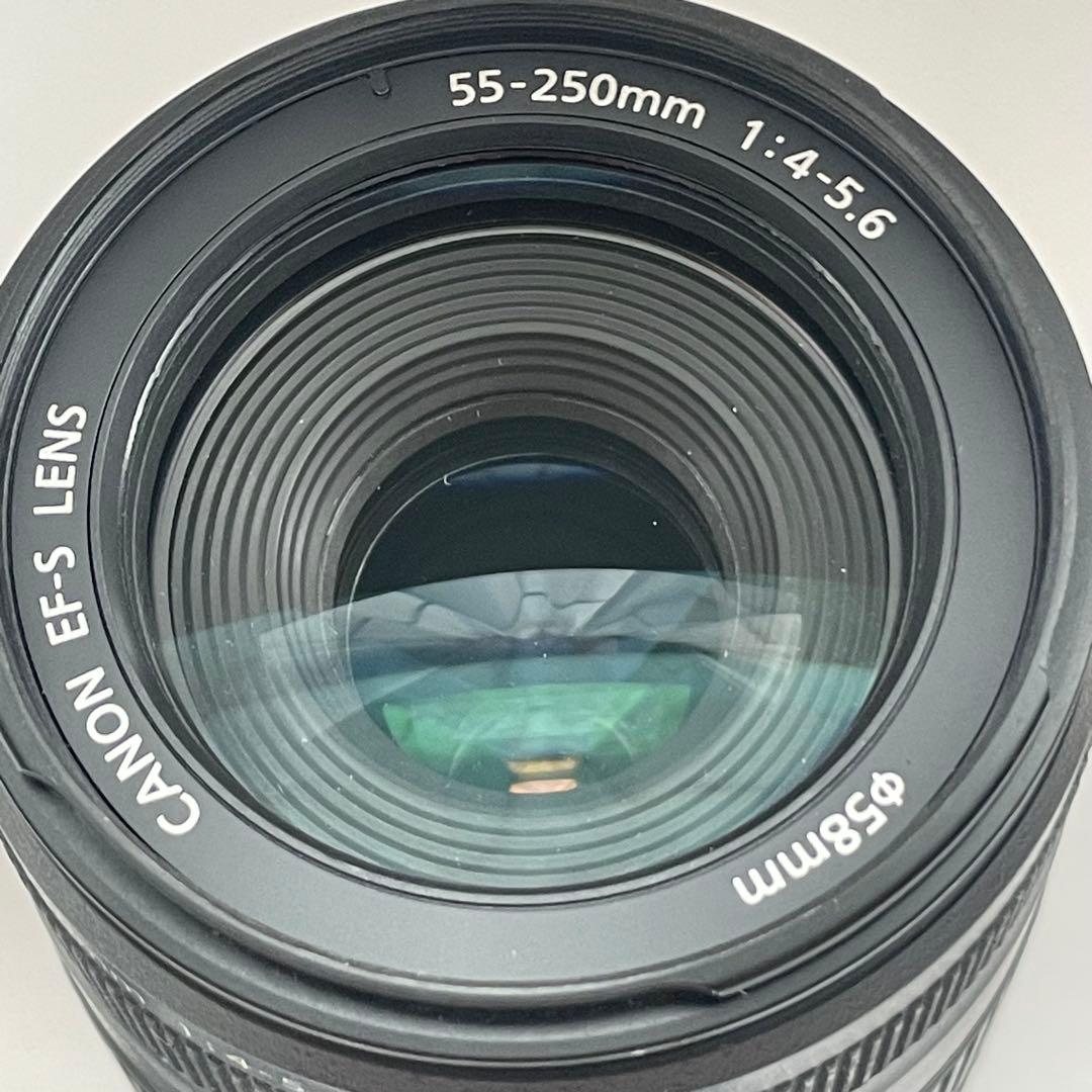 動作品 Canon EF-S 55-250mm ズームレンズ