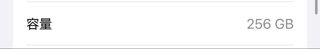 iPhone 13 256GB ブルー