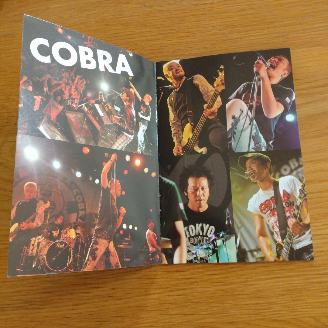 ミュージック COBRA 30th Anniversary DVD