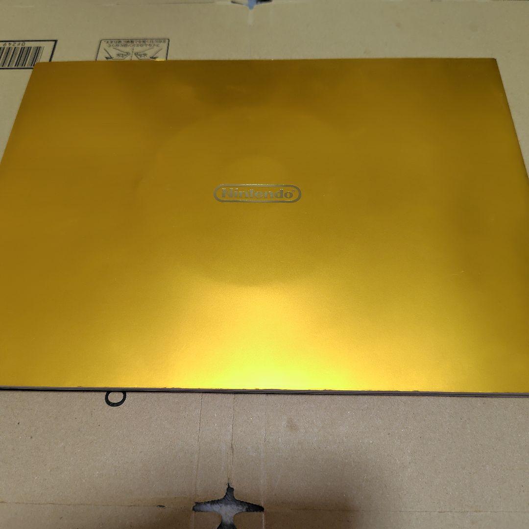 希少品 任天堂 会社案内 2008年版 DVD付属 コレクション 資料 非売品