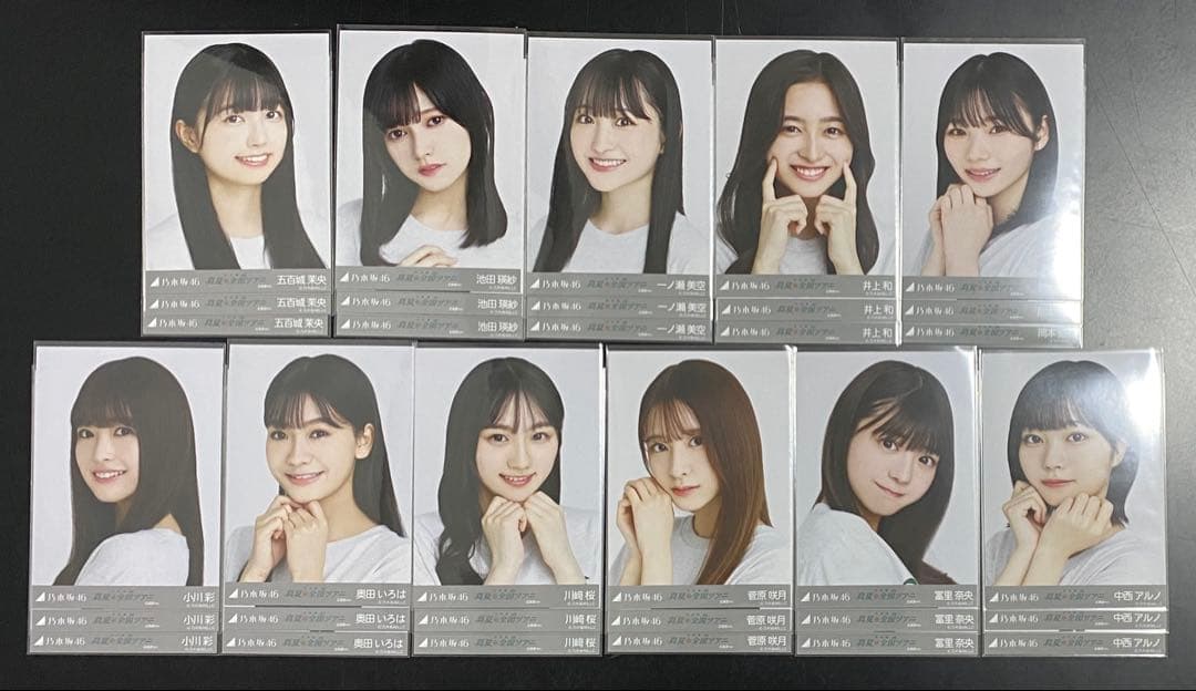 乃木坂46 真夏の全国ツアー2022 北海道　ライブt 生写真　フルコンプ