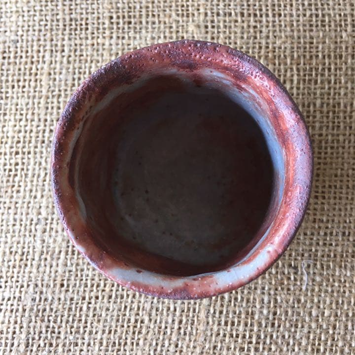 美濃焼 赤志乃 ぐい飲み 箱付き 椿