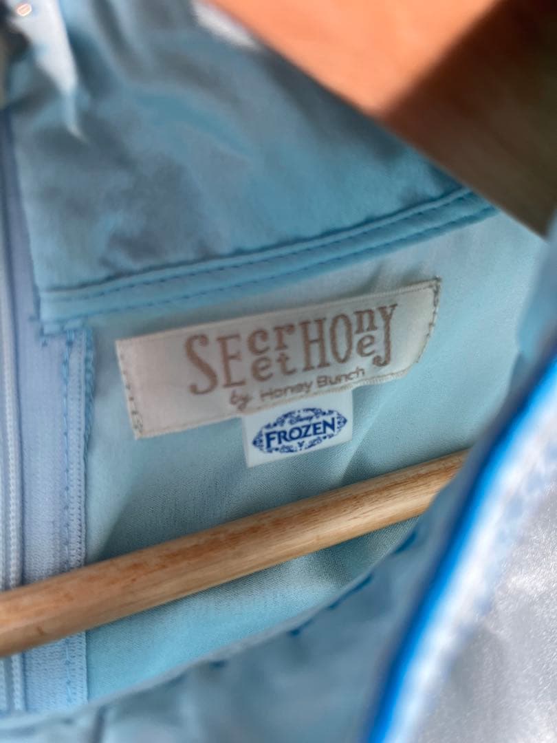 シークレットハニー アナ 雪山