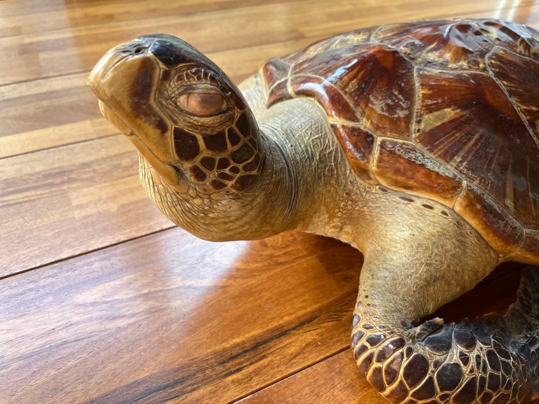 亀　 置物　※発送は年明けになります