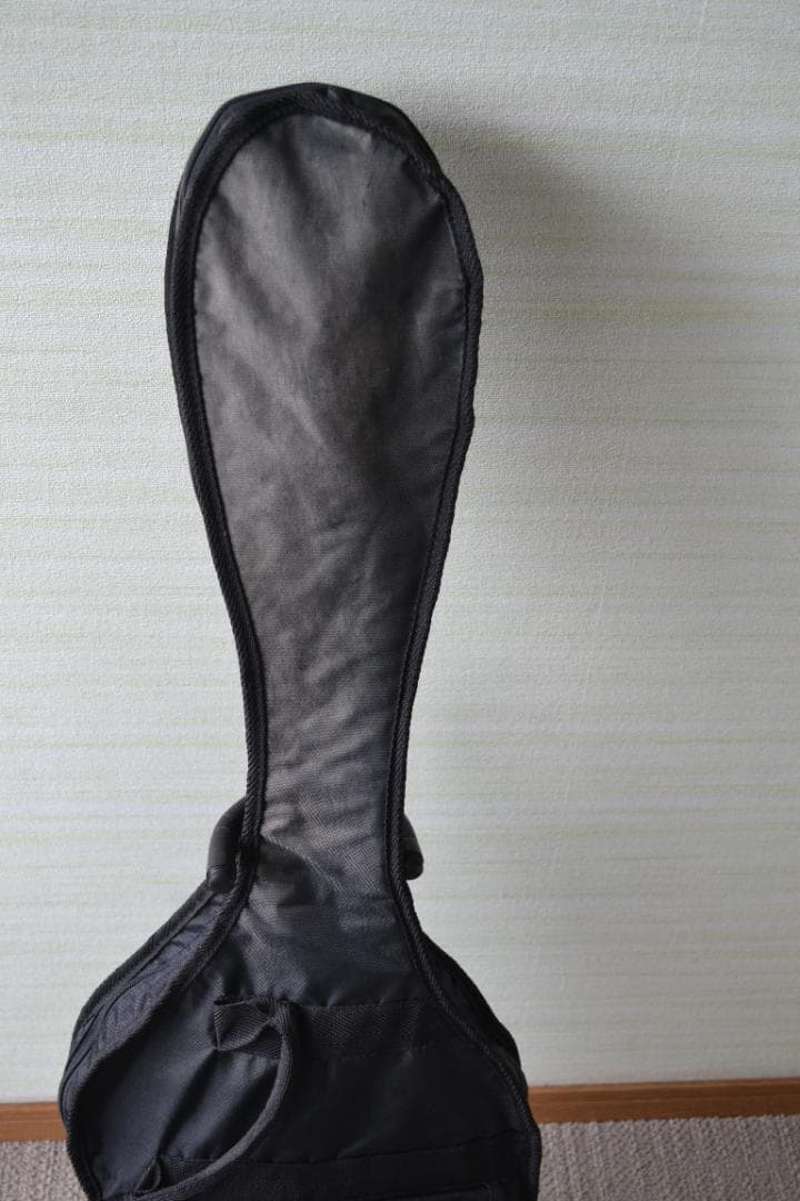 Maison メゾン メイソンエレキギターレスポールタイプ