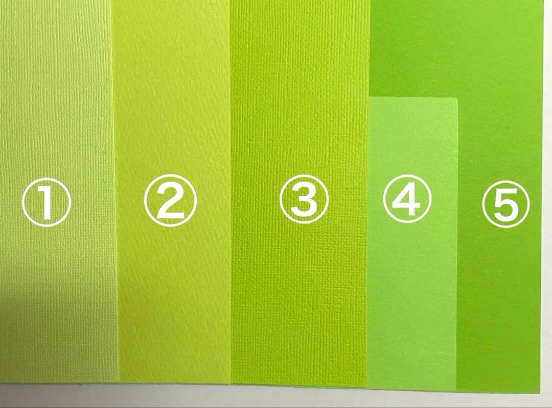 ＊hisa＊さま専用　アルバムクラフト