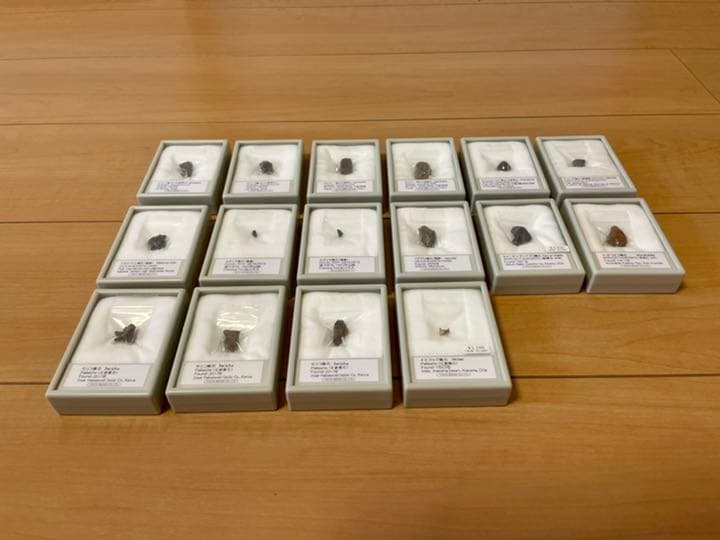 隕石16個セット（東京サイエンス）