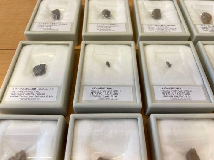 隕石16個セット（東京サイエンス）