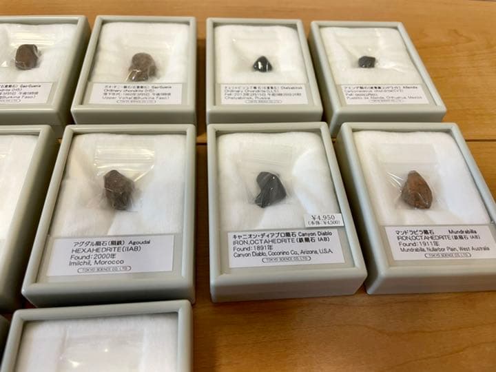隕石16個セット（東京サイエンス）