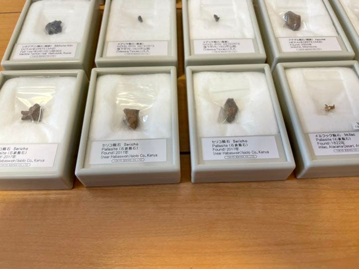 隕石16個セット（東京サイエンス）