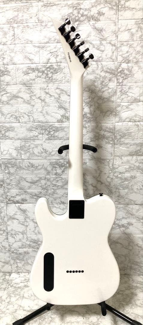 【美品 希少】Fernandes TEJ-STD 2S SW テレキャス タイプ