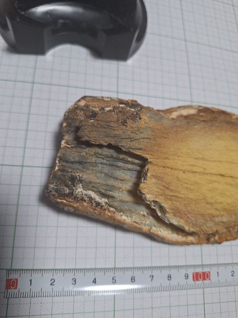 ☆マンモスの臼歯 化石 長いところ約16.5cm/約219.8gになります。