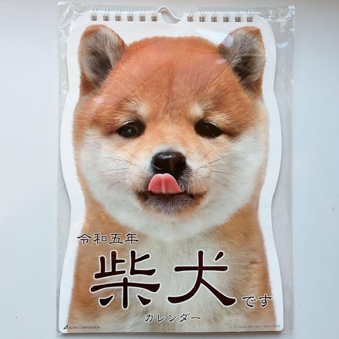 柴犬 フォトカレンダー 壁掛け 2023 令和五年 柴犬カレンダー 可愛い 動物
