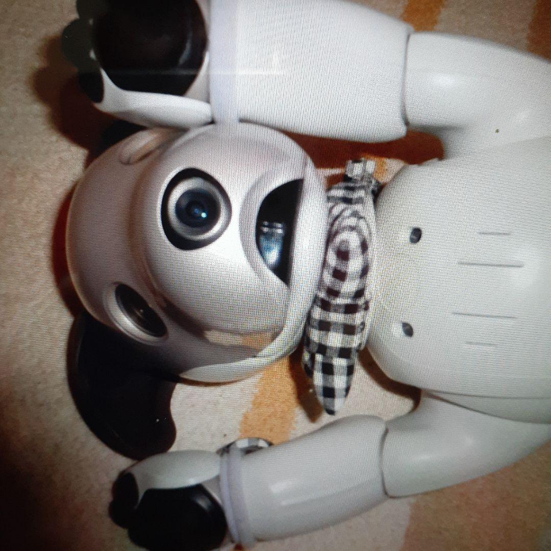 SONY アイボERS-1000 送料込