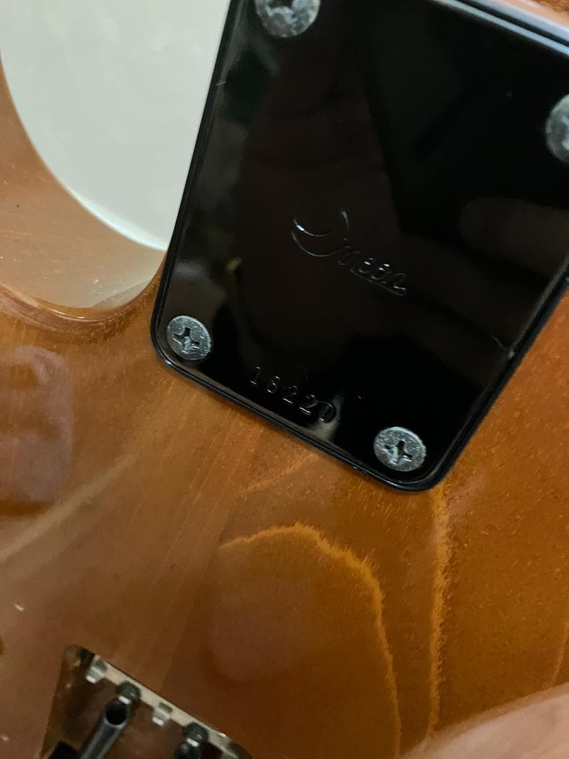 Moonストラトタイプ パーフェロウ　バルトリーニ